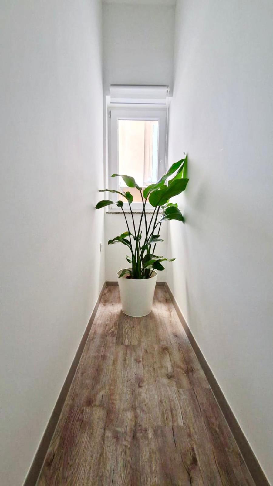 Ljubljana Central Cozy Apartment W Free Parking エクステリア 写真